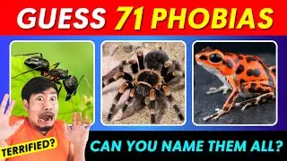 Guess The Phobia | 71 Phobias Quiz | Can You Name These Fears? | Ultimate Phobias Challenge