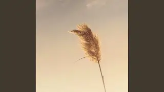 Warm White Sun (Original Mix)