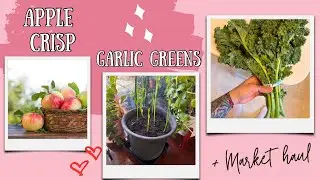 No Waste High Protein Apple Crisp recipe | Growing Garlic Greens indoors + my Market Haul