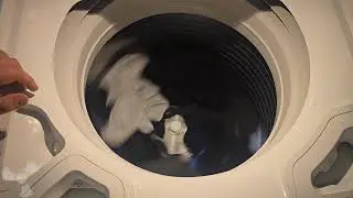 Fisher & Paykel AquaSmart // Default Normal Cycle
