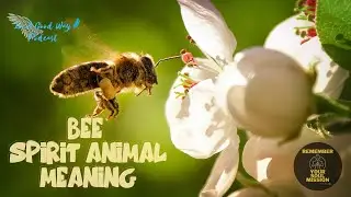 Healing of Humming - Bee Spirit Animal - Community - Love For Family - Hard Work & Sacrifice