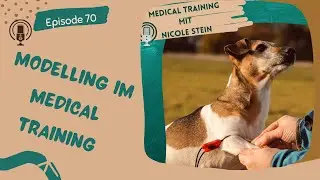 Modelling im Medical Training