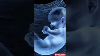 Inside the Womb: The 4K Ultrasound Revolution