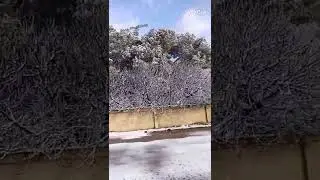 السويداء قرية مجادل