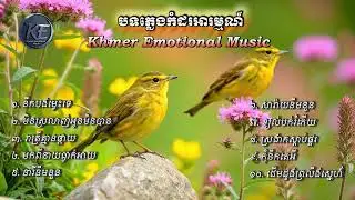 បទភ្លេងកំដរអារម្មណ៍ 10បទពីរោះៗ | Khmer Emotional Music |