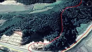 202102 - Bosques De Tregualemu -  Parte 01