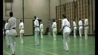 Kyokushin Karate Seminar Hanshi Steve Arneil Nederland