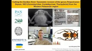 WEBINAR L.Karpiński