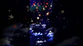 Romantic starry night