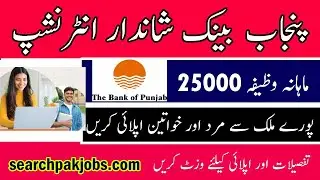 BOP Internship 2023 Online Apply Bank Jobs latest banking jobs in Pakistan 2023 - Jobs in Today