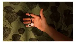 SAFARI //aroundsquare begleri