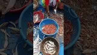 marve beach 🐟🦐🦀🙏