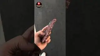 iPhone 16 Carbon Fiber Case | New Sleek Design