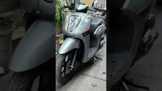 Honda Genio 110cc