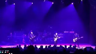 Blue &Ouml;yster Cult - 
