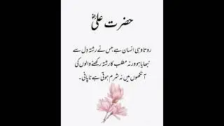 Rumi quotes urdu quotes aqwal #shorts #urduqoutes #shortsvideo