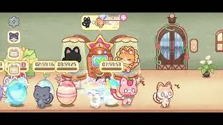 Lovely Cat Dream Party New All Eggs And Cat 🐈