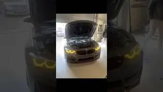 Germanys first M4 with switchable white/ yellow DRL modules in OEM IKONS🔥 #bmw #m4 #f82 #drl #csl
