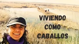Viviendo como caballos