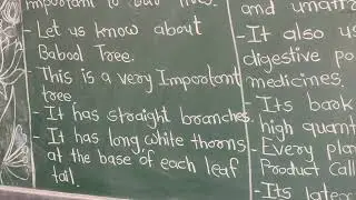 The Babool Tree Essay
