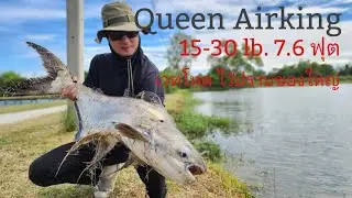 เวทใหญ่ เวทโหด Airking 15-30 lb. 7.6 ฟุต จากค่าย Queen