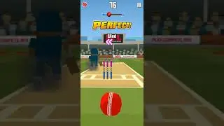 Tricks to score big in mpl pro cricket