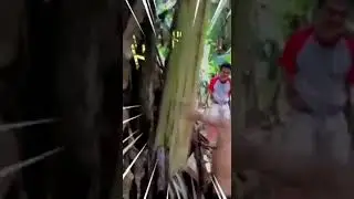 Bang jago in real life