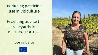 Reducing pesticide reliance in Portuguese vineyards: An advisor's perspective
