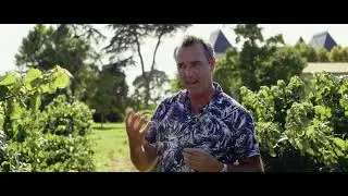 Irish chef Kevin Dundon presents his Signature Chef red wine !