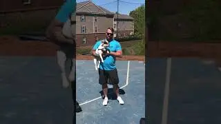 Odd Object Demo