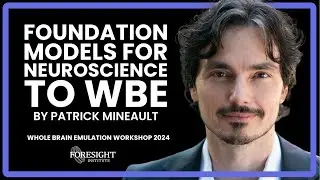 Patrick Mineault | Foundation Models for Neuroscience to WBE @ Whole Brain Emulation Workshop 2024