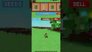 the daily seed pack (Grow a Garden Roblox)