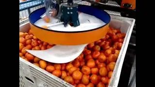 LLENADOR PALOTS BINS DE DISCO