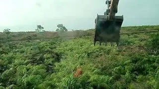 TROBOS RAWA TANPA GAMBNGAN HARI INI