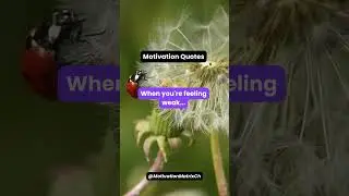 When you are feeling weak .. #shorts #motivation #success #facts #mindset #psychology #subscribe