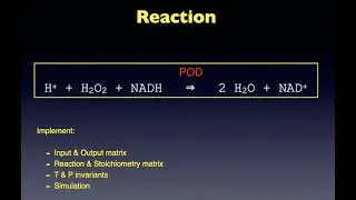Vectors & Matrices: The POD reaction