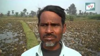 Crops destroyed due to negligence of Eastern Coalfield Limited | Mary Nisha reports for IndiaUnheard