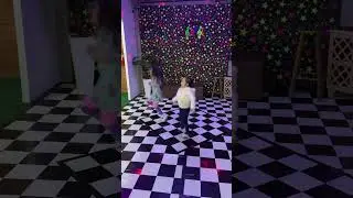&Eacute; as meninas no Bailinho.