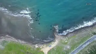 Dron Turu