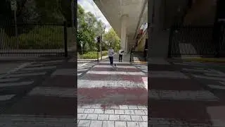 Robotic Guide Dog Autonomously Crossing Crosswalk