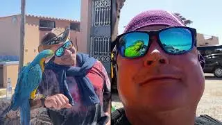March 10th, 2022. Nigel's Place, Tiznit, Morocco.