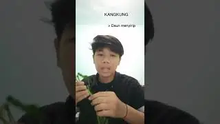 PRAKTIKUM BIOLOGI DASAR LILIOPSIDA DAN MAGNOLIOPSIDA
