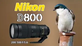 Nikon D800 Bird Photography with 200-500 PLUS LONG EXPOSURE 24-70 Kase Filters