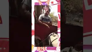 أول عربية في مصر تشتغل بالهواء المضغوط!