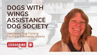 Finding The Helpers In Edmonton, Alberta