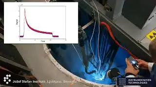 Neutron flux measurement with Libera instrumentation