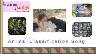 Animal Classification Song | BRAMF!