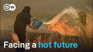 Heatwave puts Europe to the test | DW News