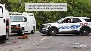 Michigan Humane, Detroit Police and Detroit Animal Care and Control Rescue 2 Dogs