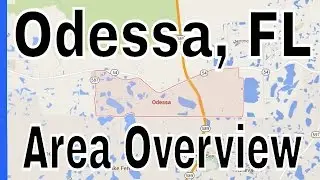 Homes for Sale in Odessa FL - Overview of Odessa by Lance Mohr - Tampa Realtor